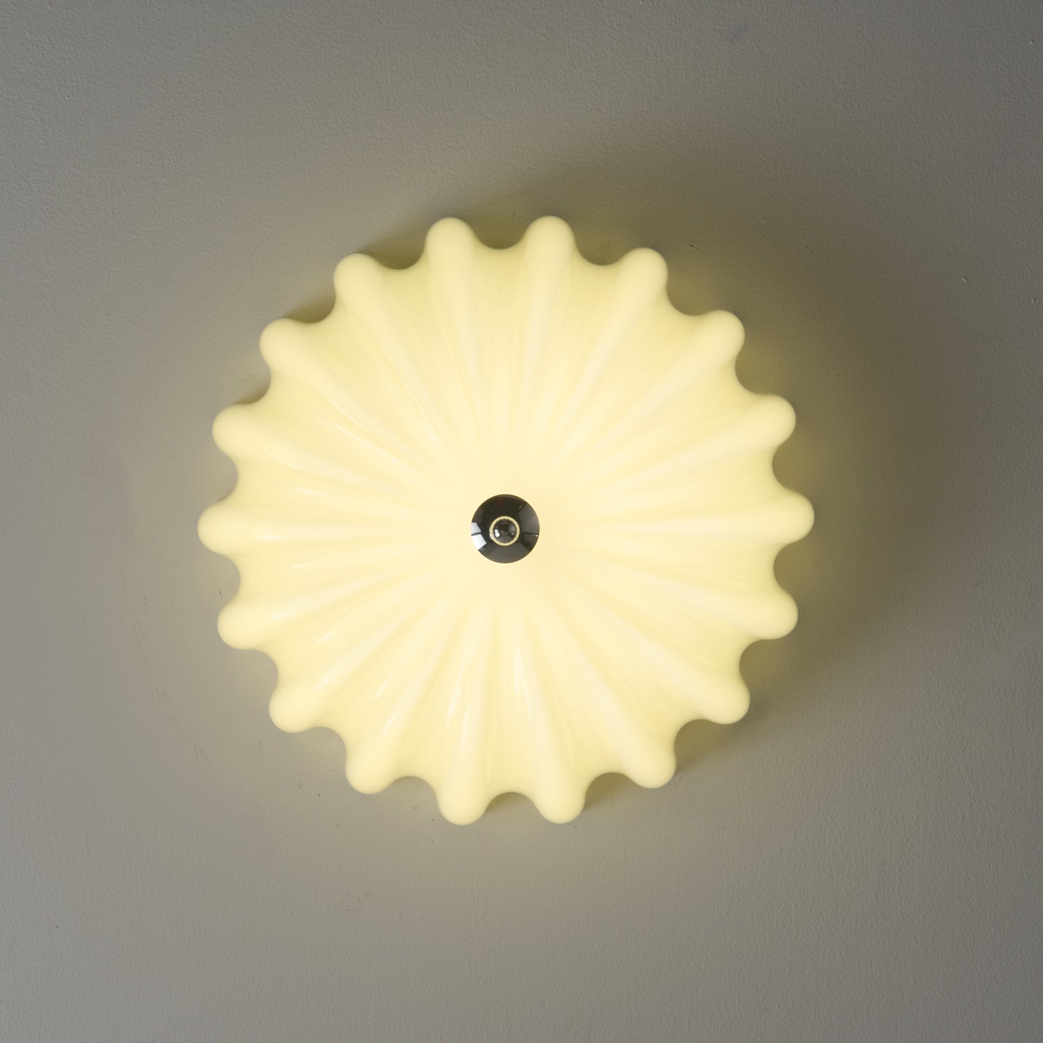 Dewdrop Shell Ceiling Light - Blowlighting