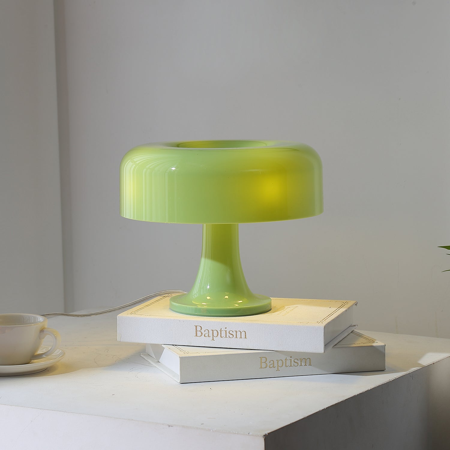 Donula Minimalist Acrylic Table Light