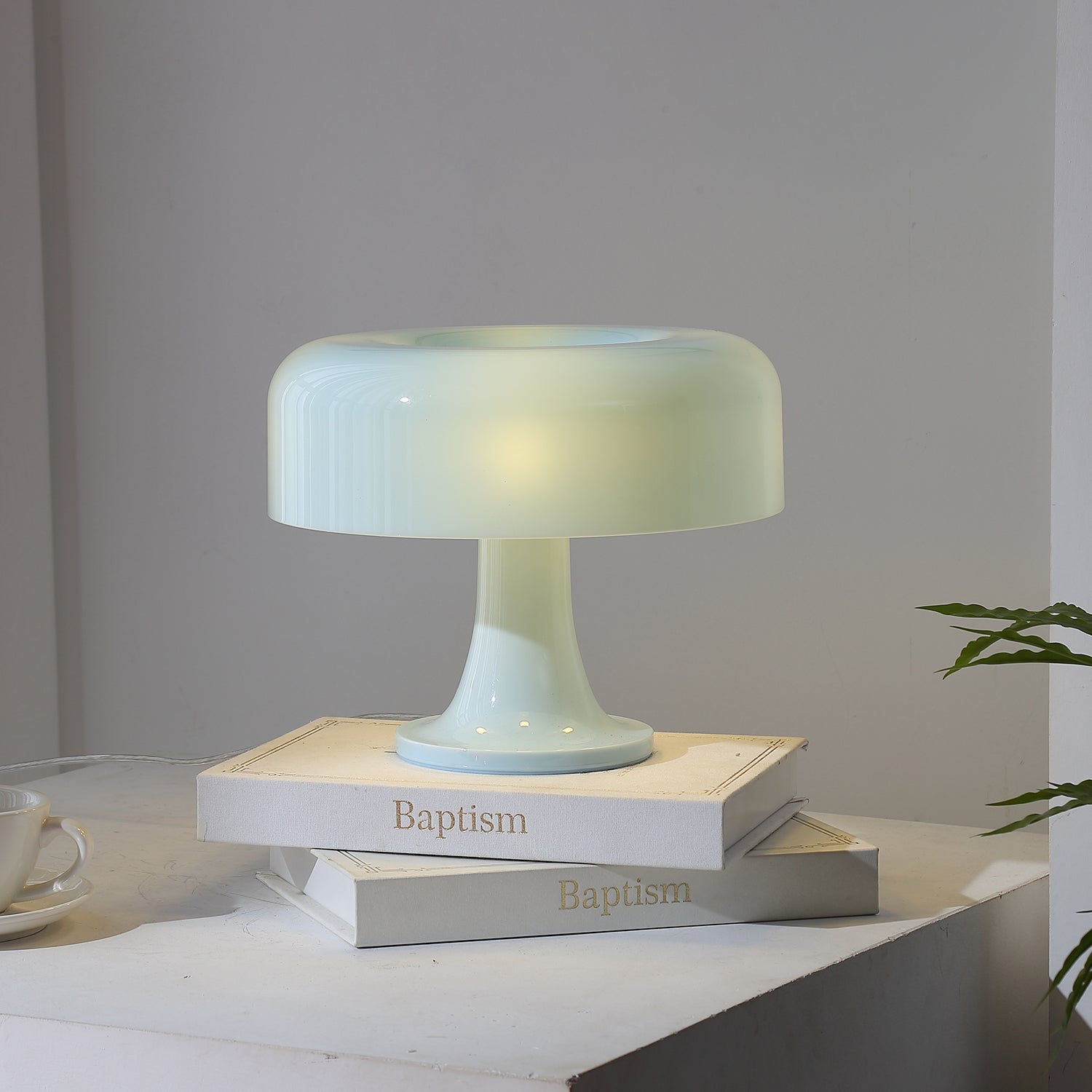 Donula Minimalist Acrylic Table Light
