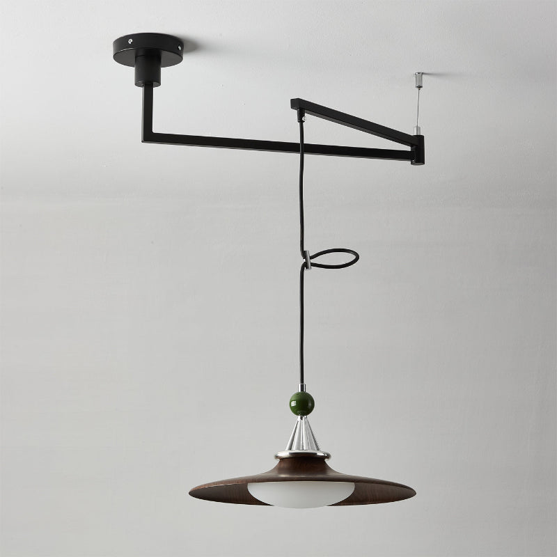 Eden Modern Acrylic Swing Arm Pendant Light