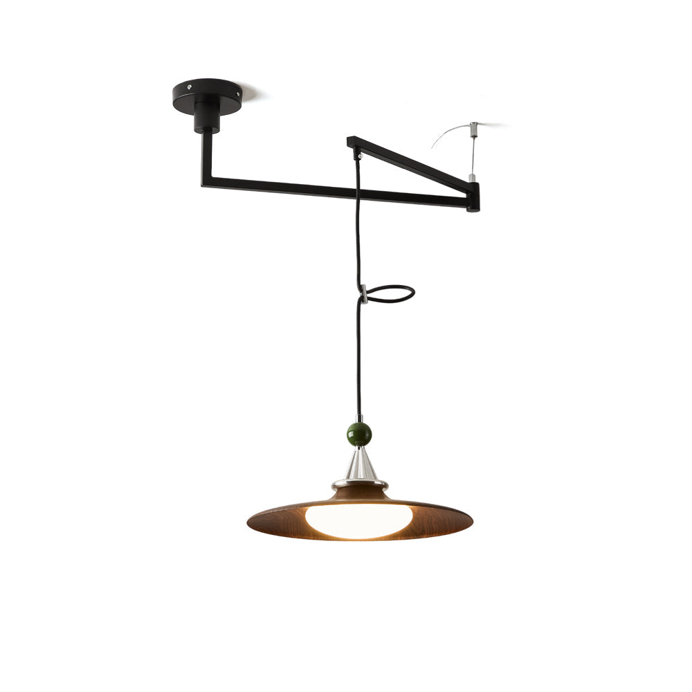 Eden Modern Acrylic Swing Arm Pendant Light