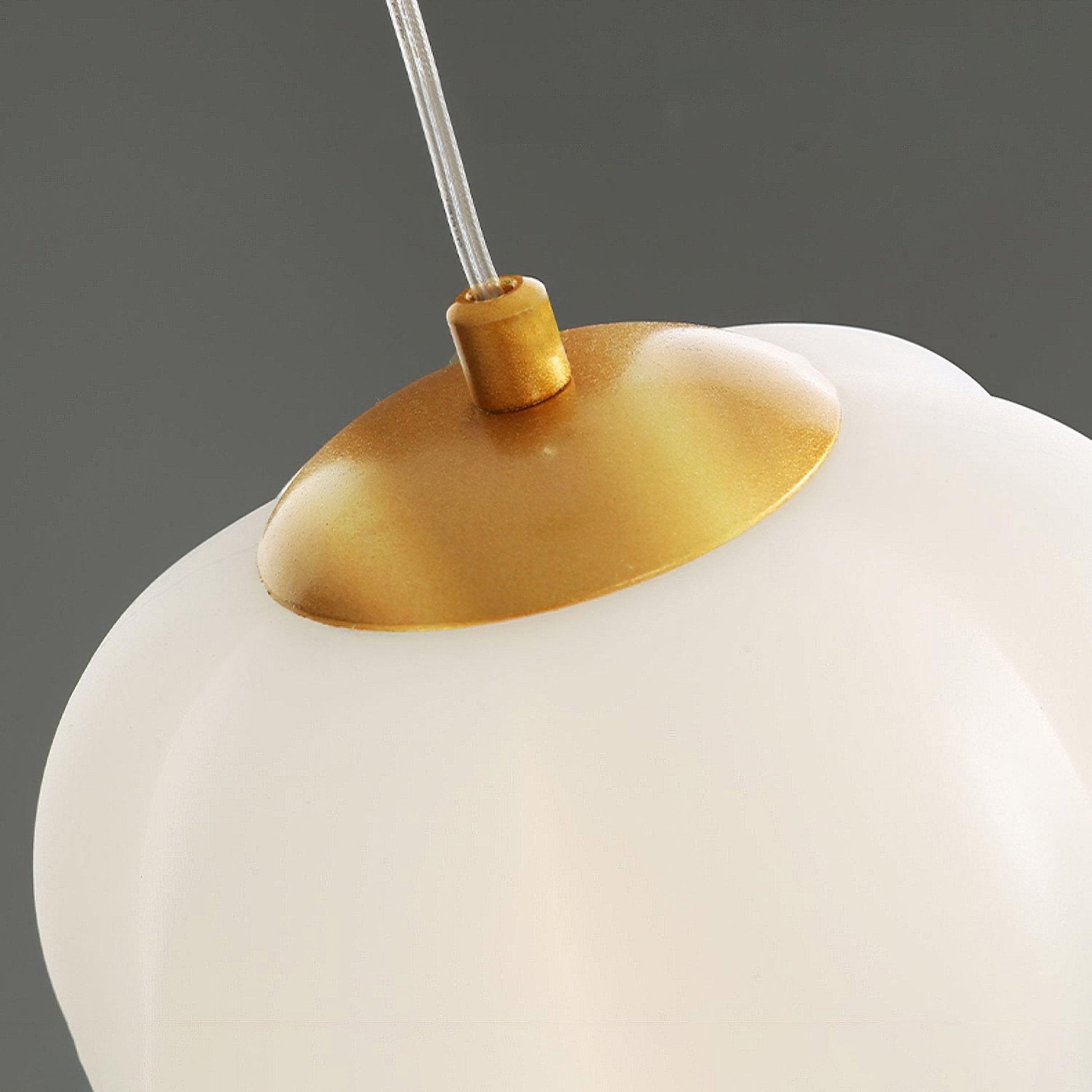 Elegant Floral Pendant Light - Blowlighting