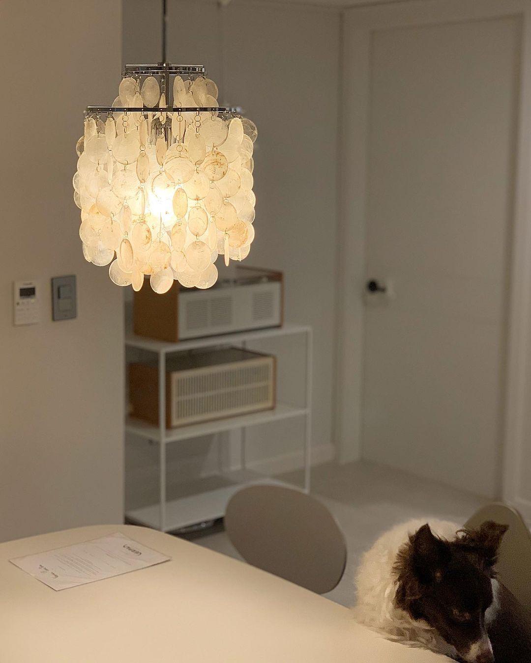 Round Shell Chandelier - Blowlighting