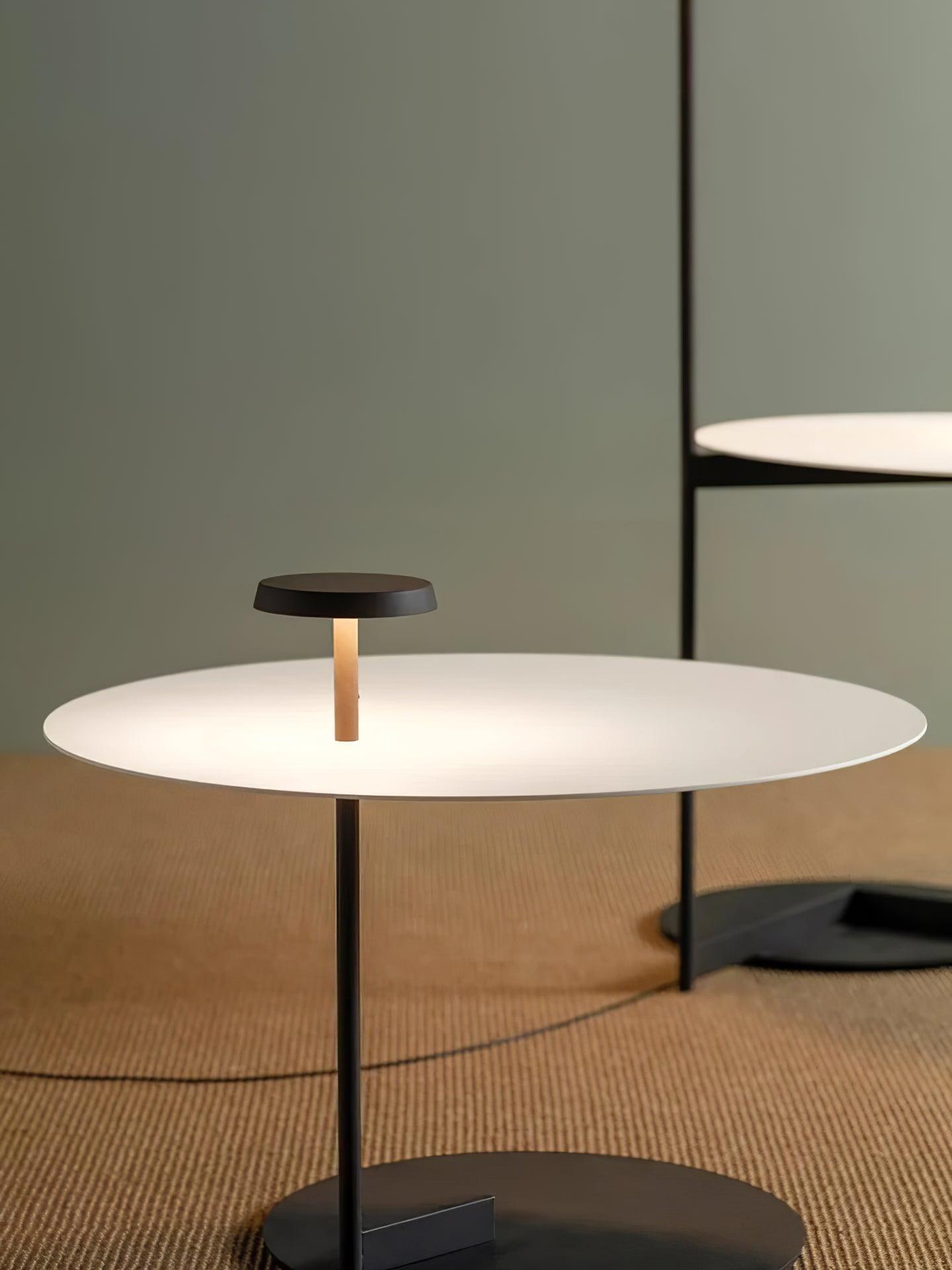 Flat Floor Lamp - Blowlighting