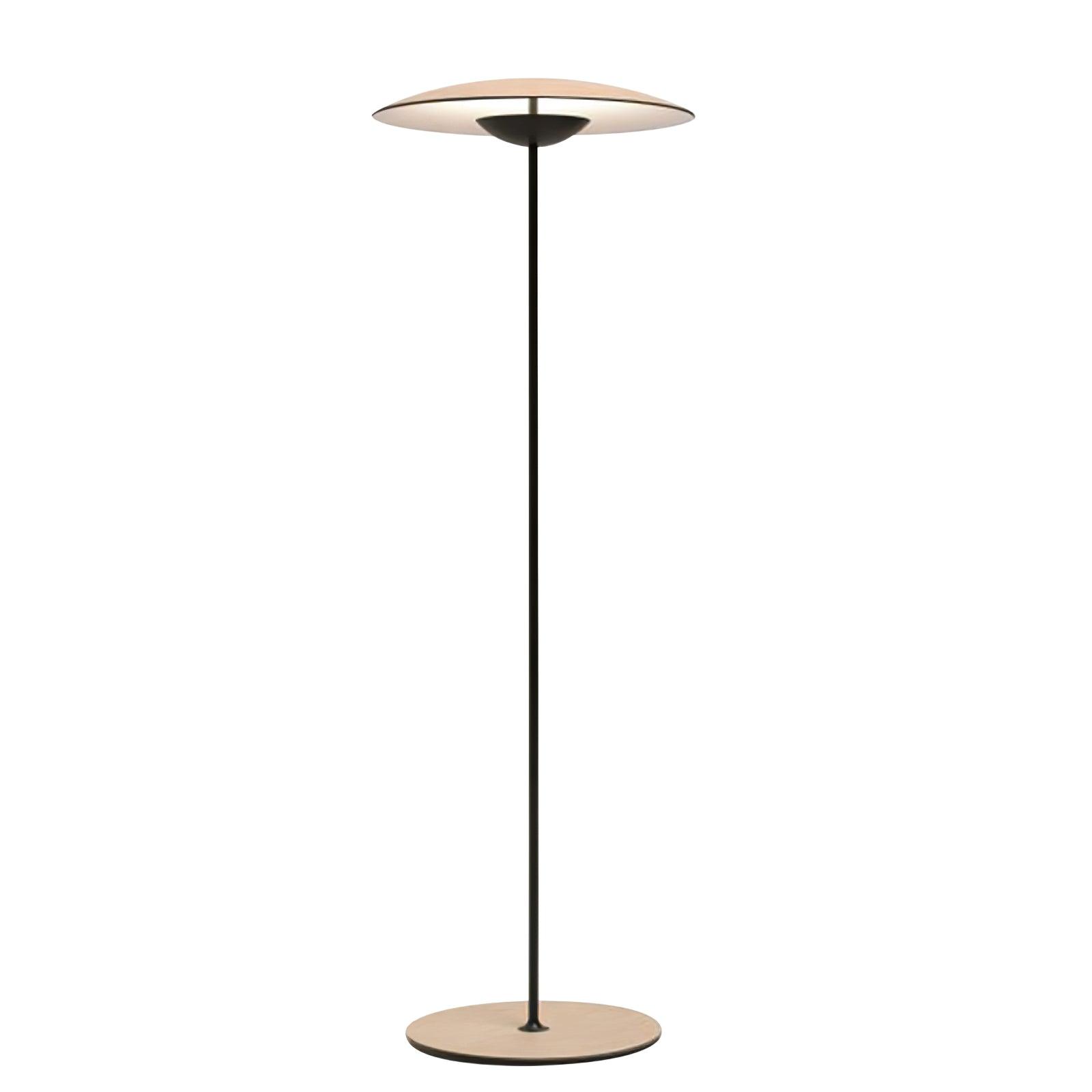 Innovative Directional Floor Lamp - Blowlighting
