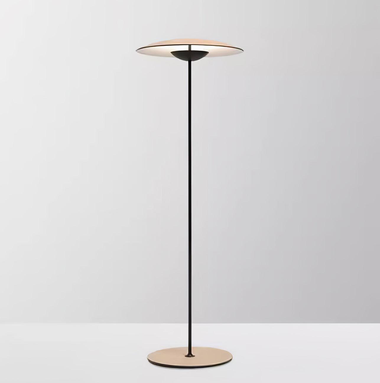 Innovative Directional Floor Lamp - Blowlighting