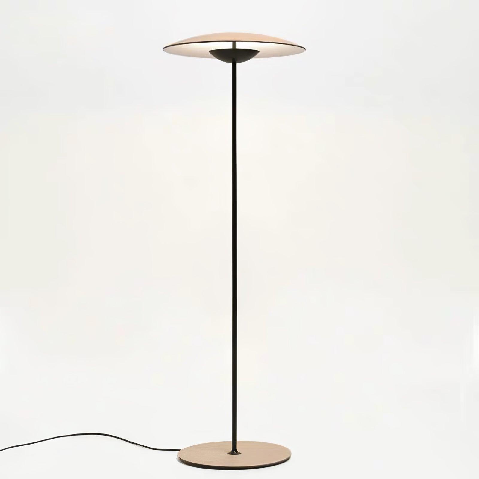 Innovative Directional Floor Lamp - Blowlighting