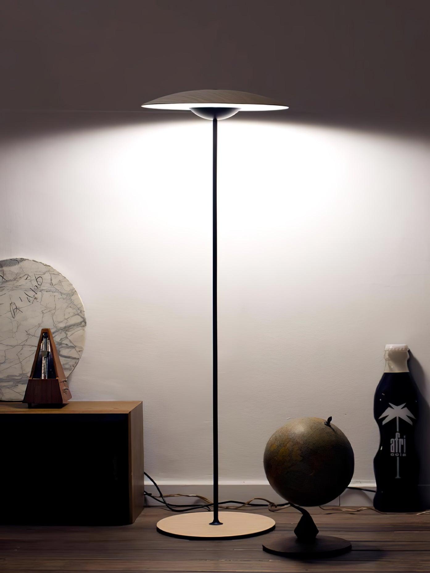 Innovative Directional Floor Lamp - Blowlighting