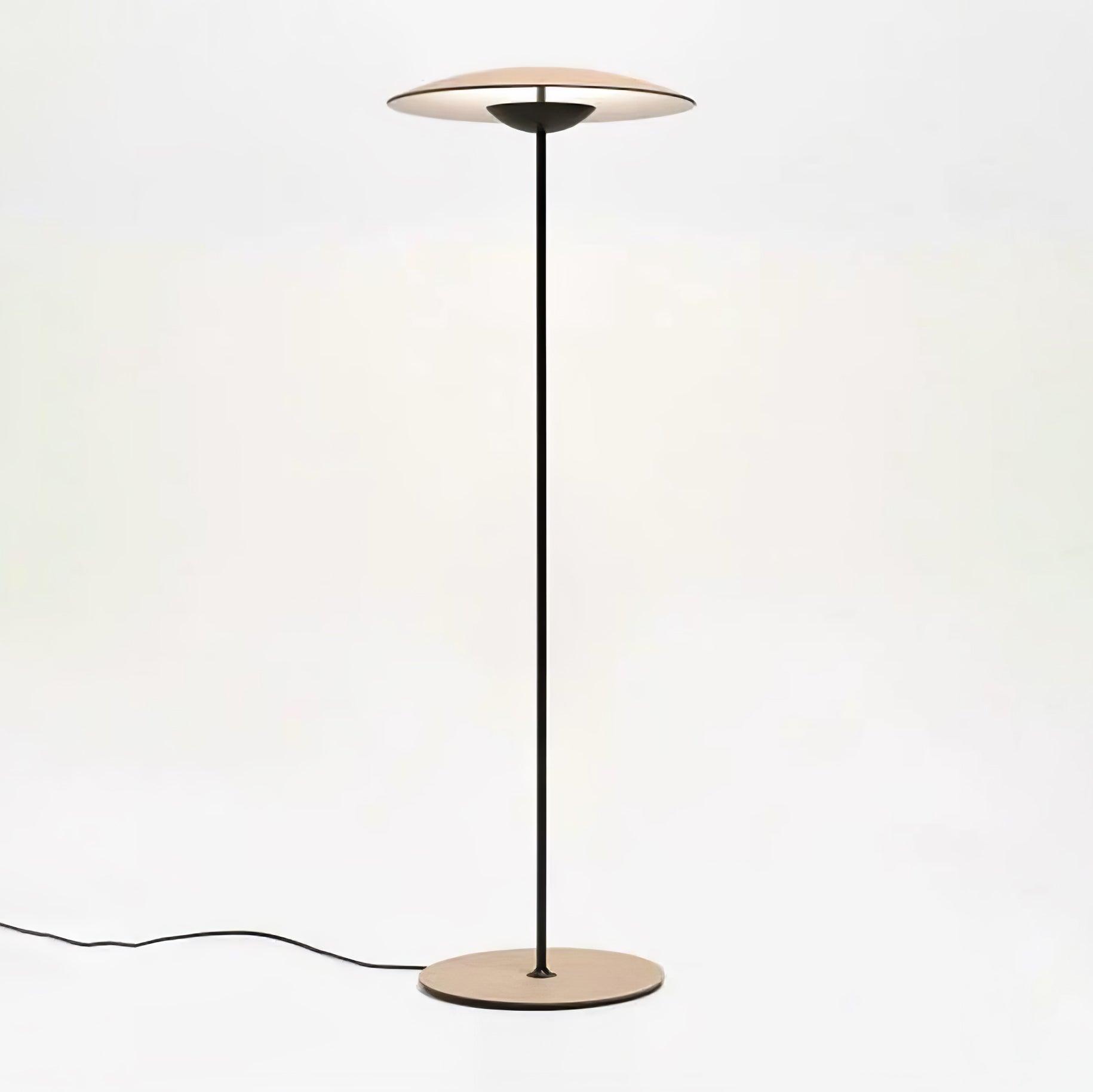 Innovative Directional Floor Lamp - Blowlighting
