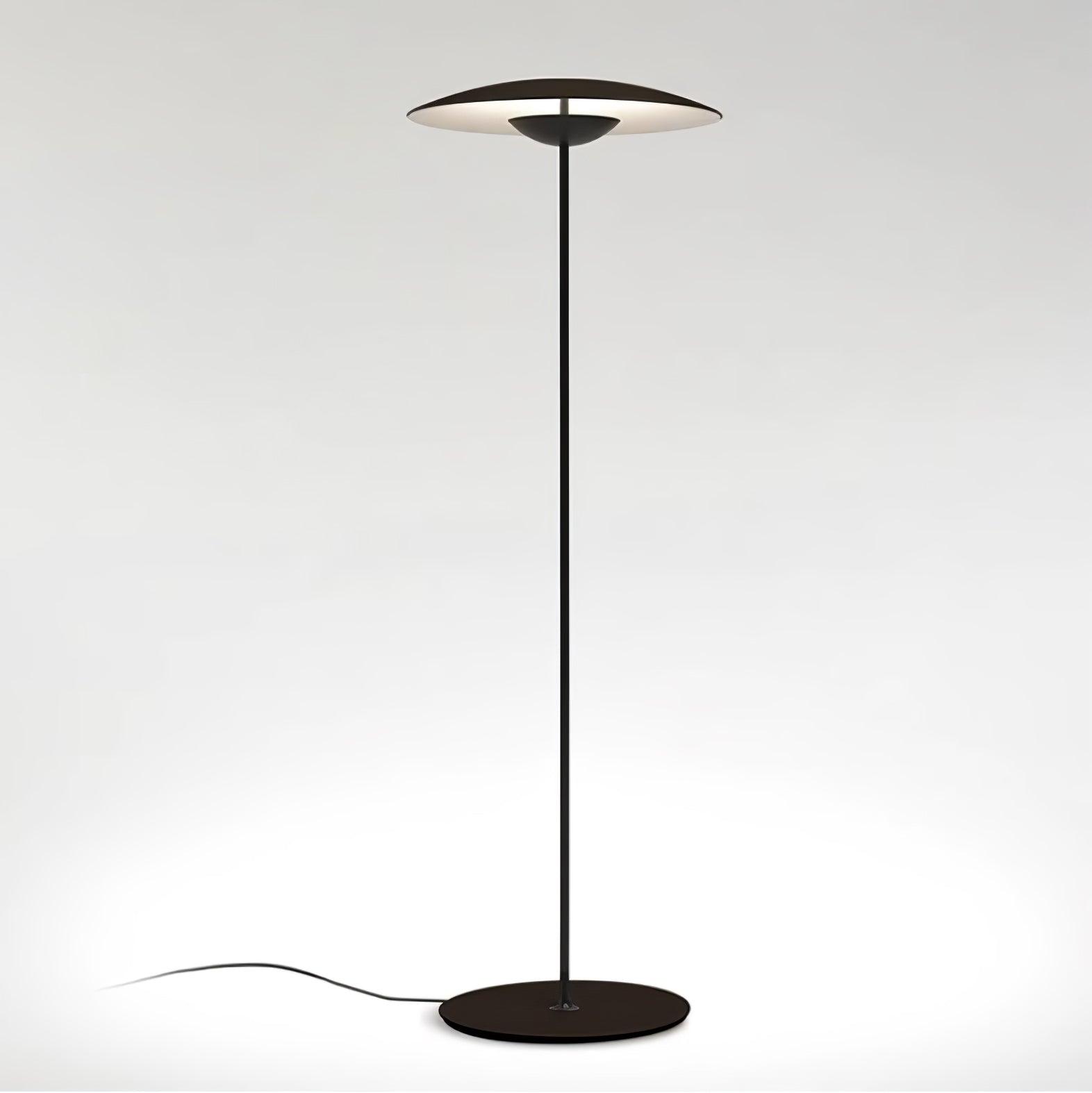 Innovative Directional Floor Lamp - Blowlighting