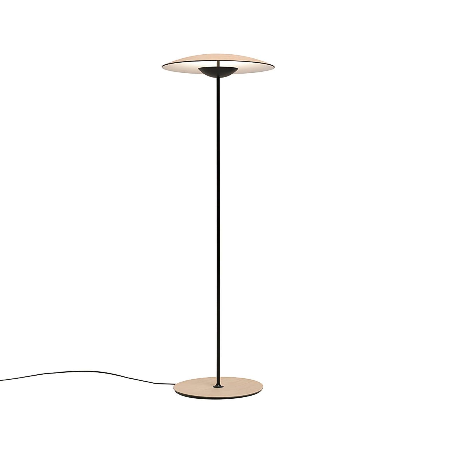 Innovative Directional Floor Lamp - Blowlighting