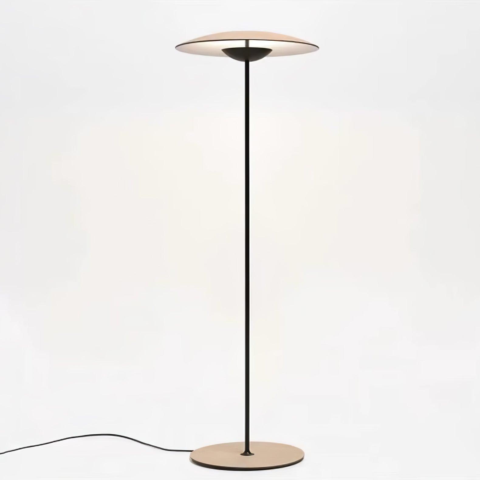 Innovative Directional Floor Lamp - Blowlighting