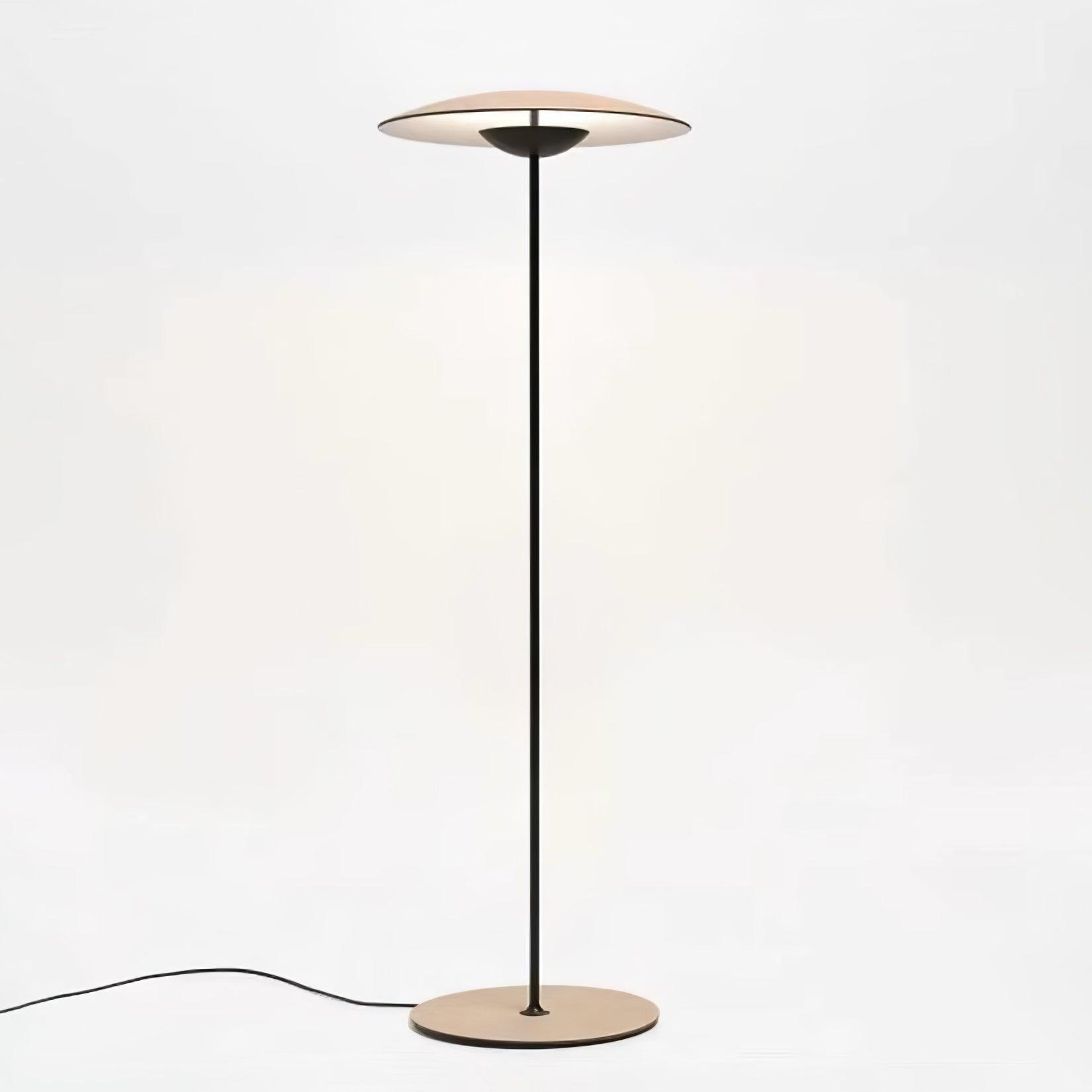 Innovative Directional Floor Lamp - Blowlighting