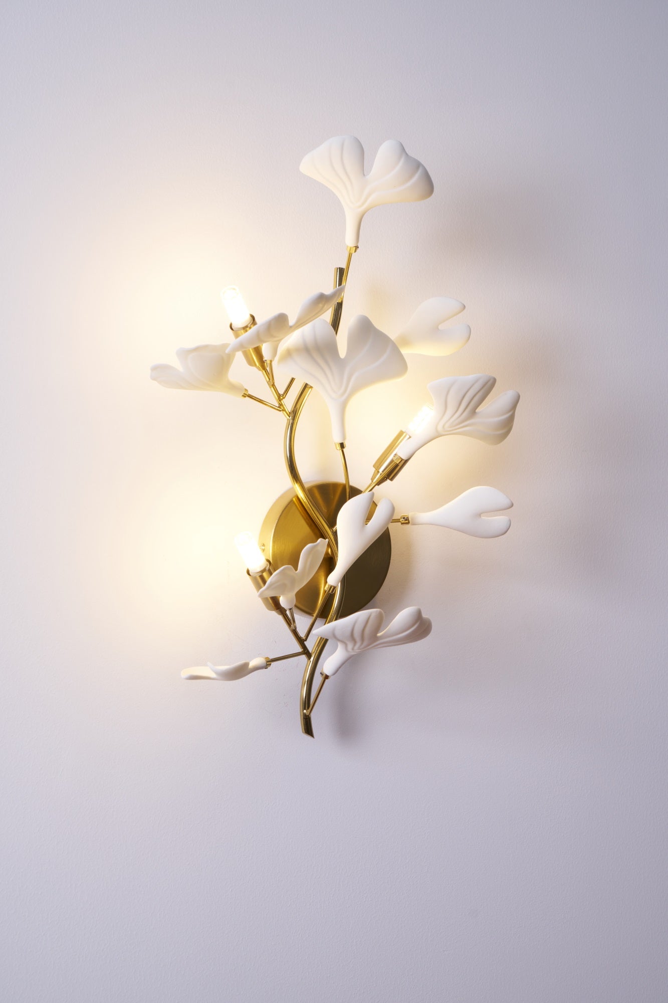 Gingko Wall Lamp - Blowlighting