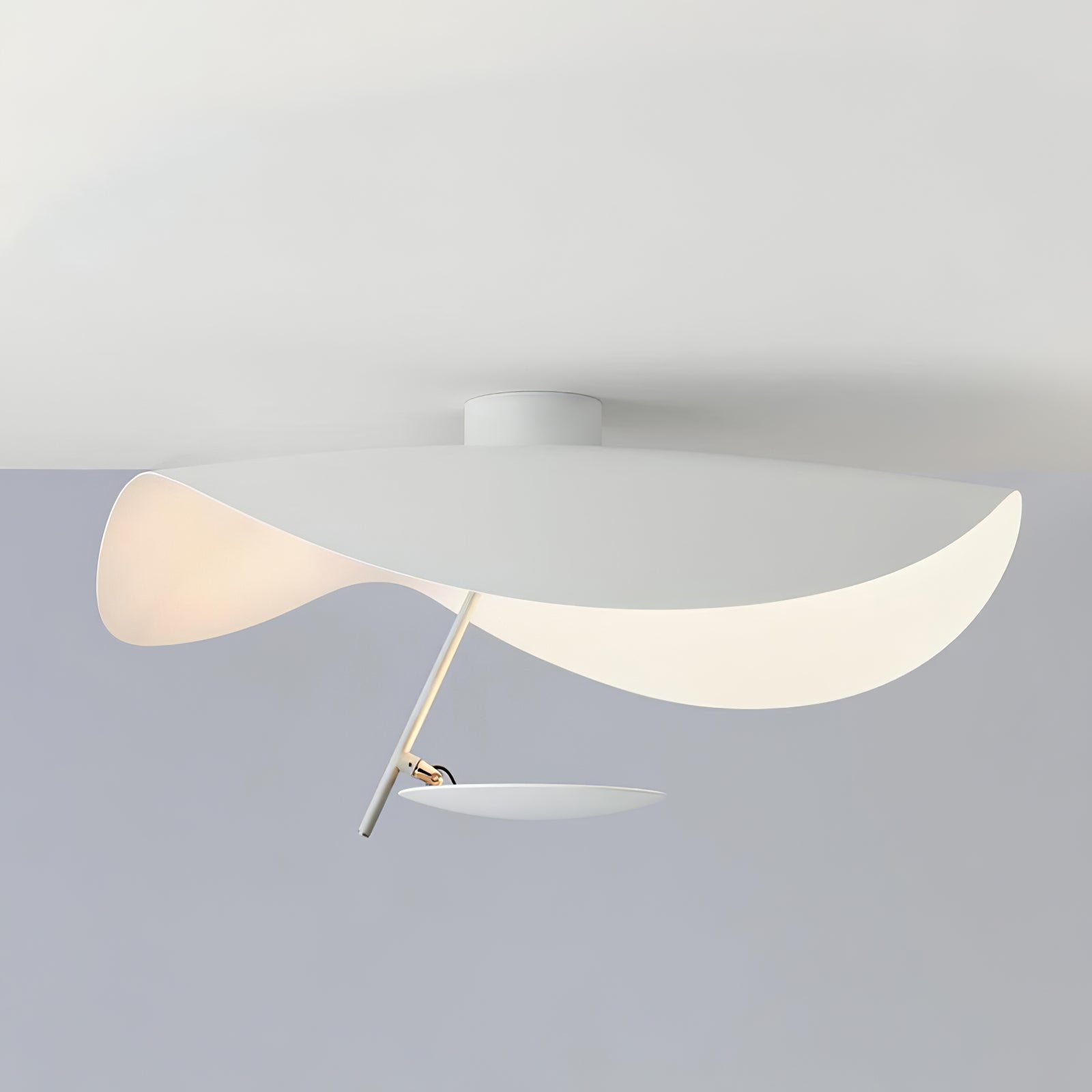 Giorgio Ceiling Light - Blowlighting