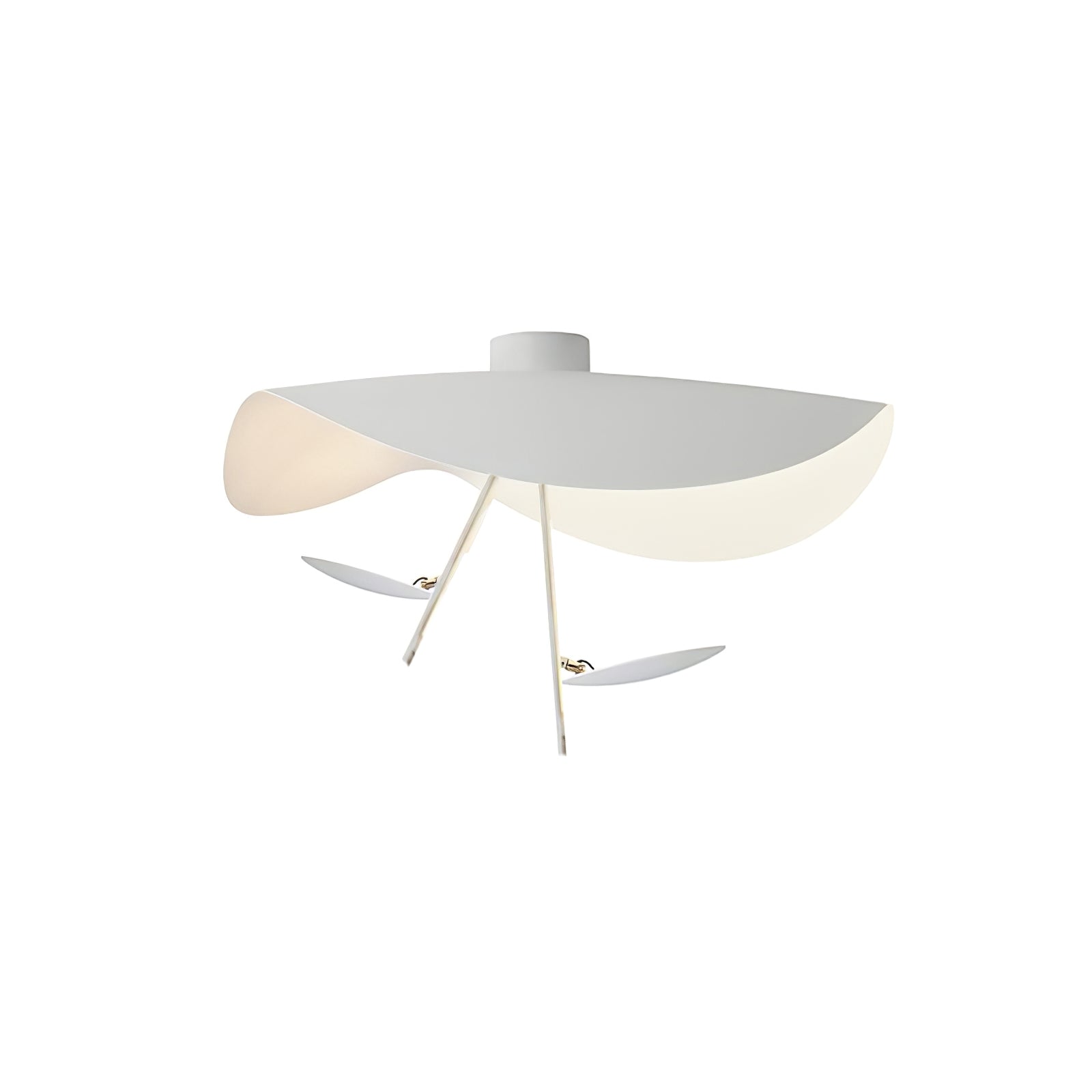 Giorgio Ceiling Light - Blowlighting