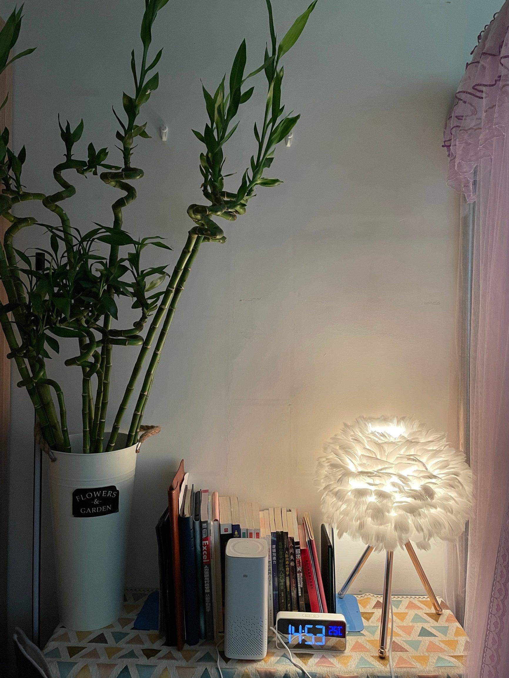 Goose Feather Table Lamp - Blowlighting