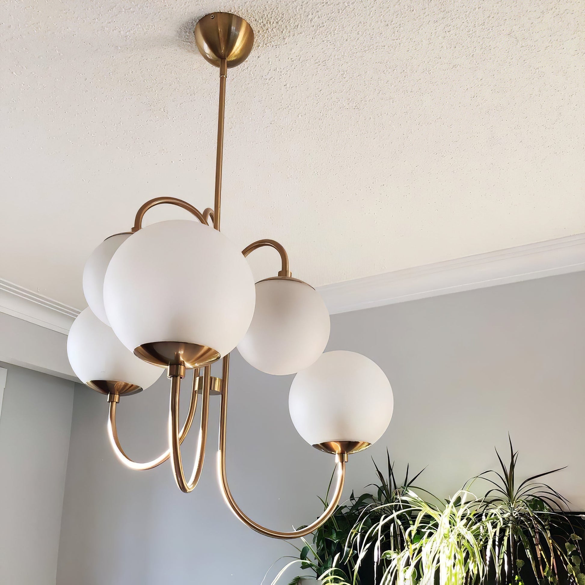 Gooseneck Chandelier - Blowlighting