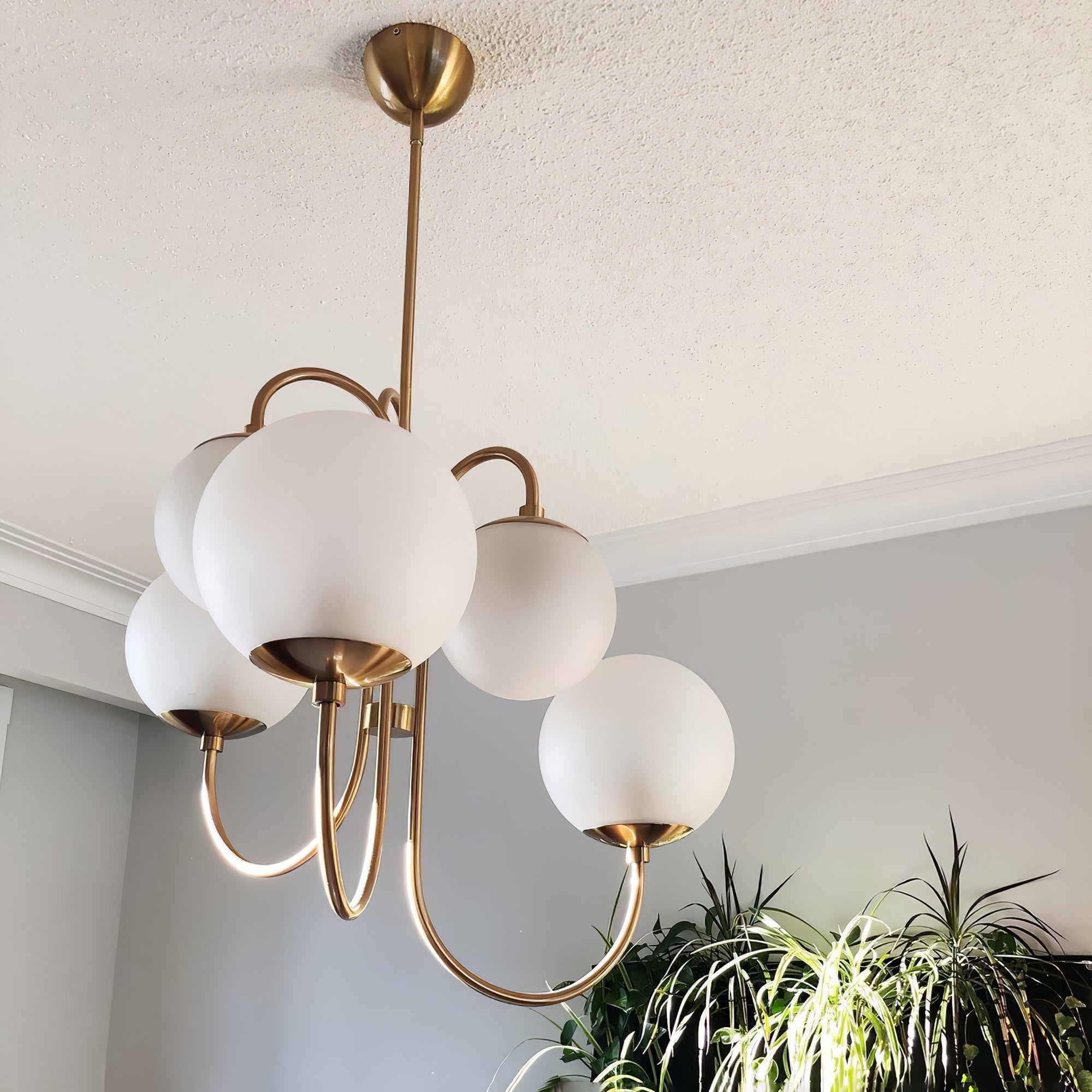 Gooseneck Chandelier - Blowlighting