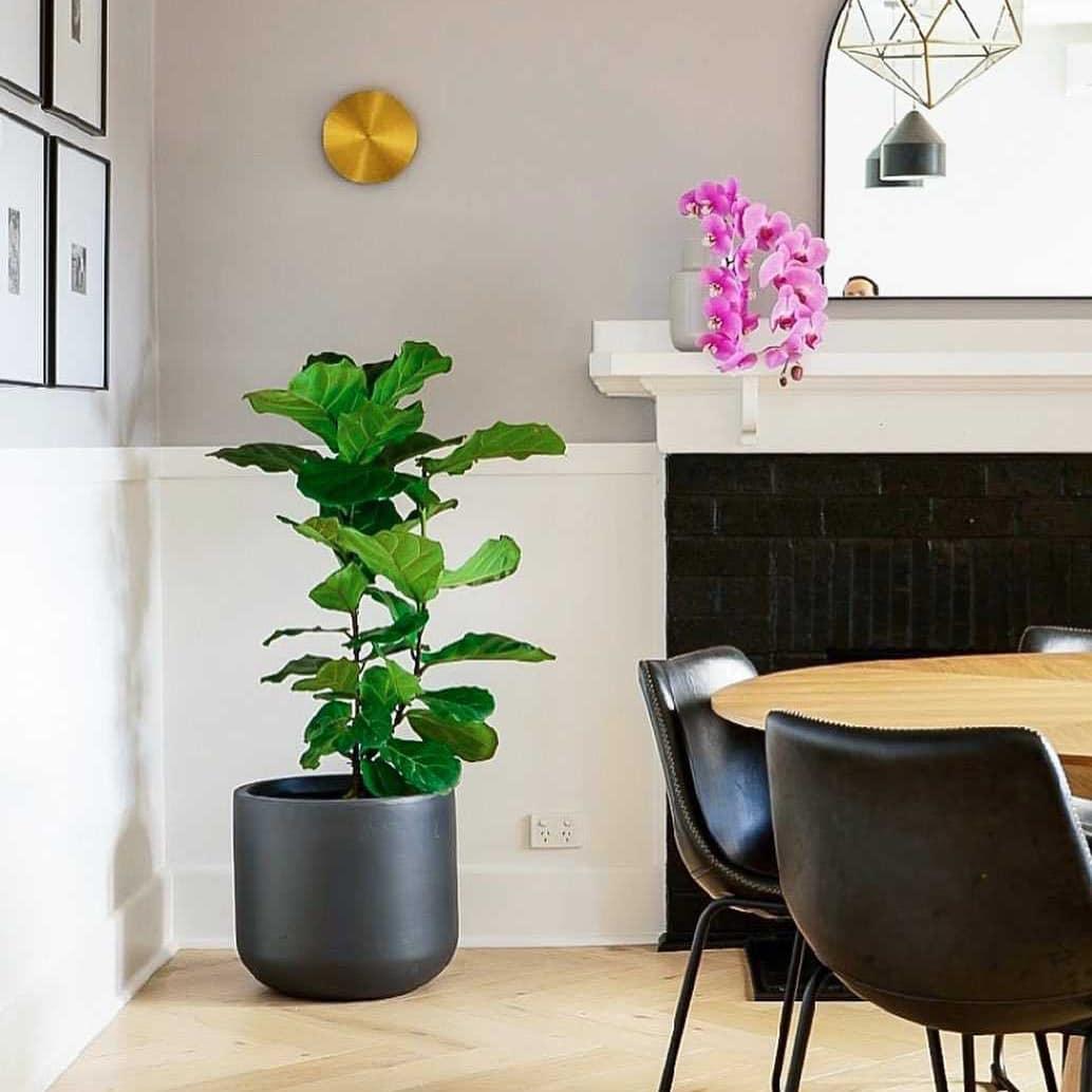 Gossa Wall Lamp - Blowlighting