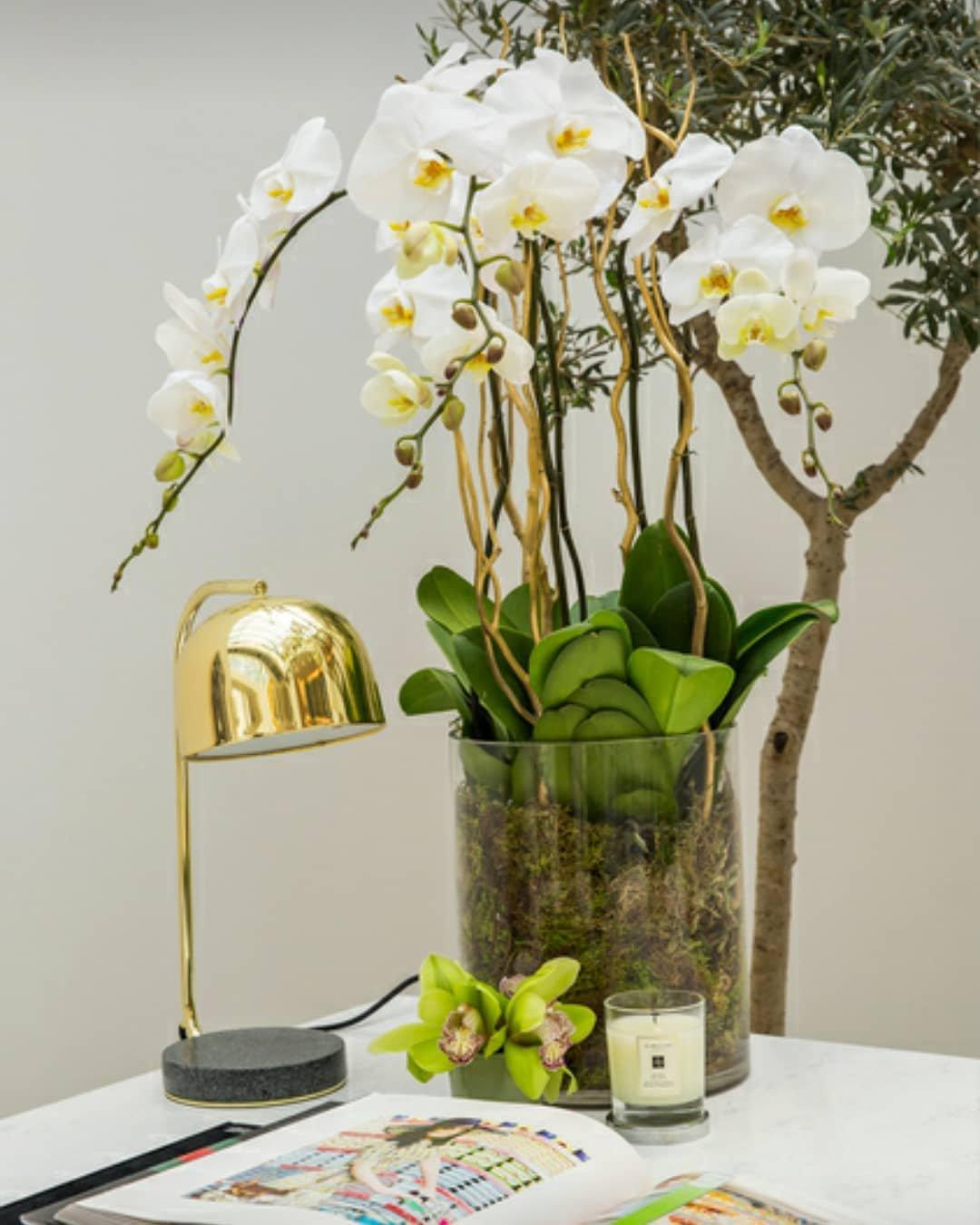 Grant Table Lamp - Blowlighting