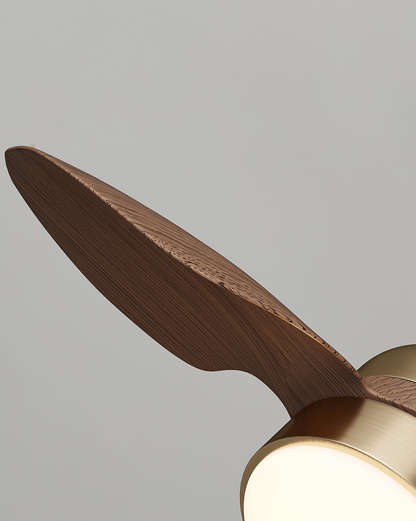 Haiku Modern ABS Ceiling Fan Light