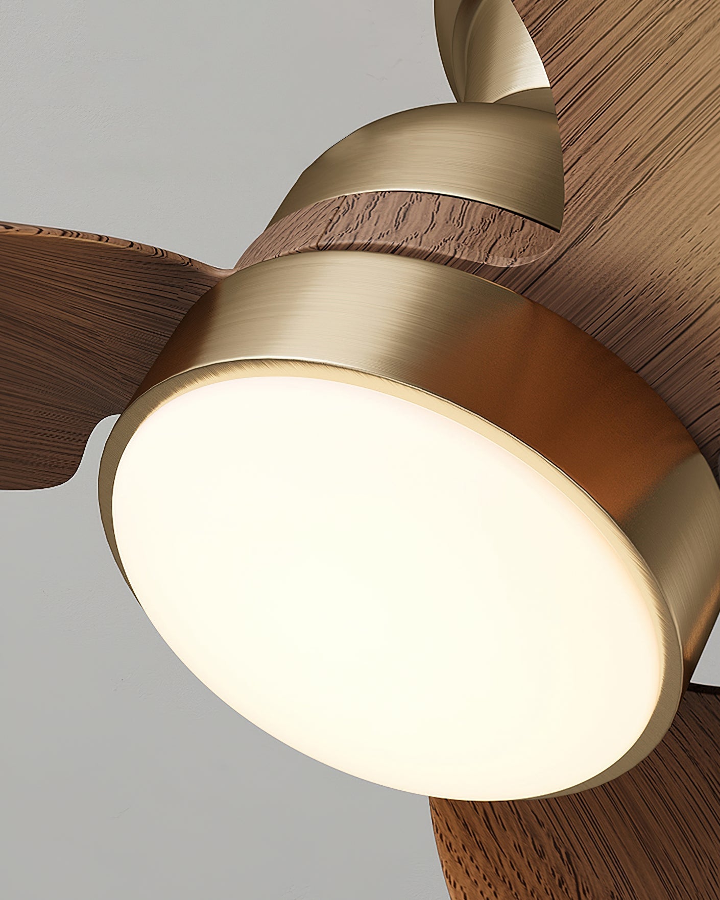 Haiku Modern ABS Ceiling Fan Light