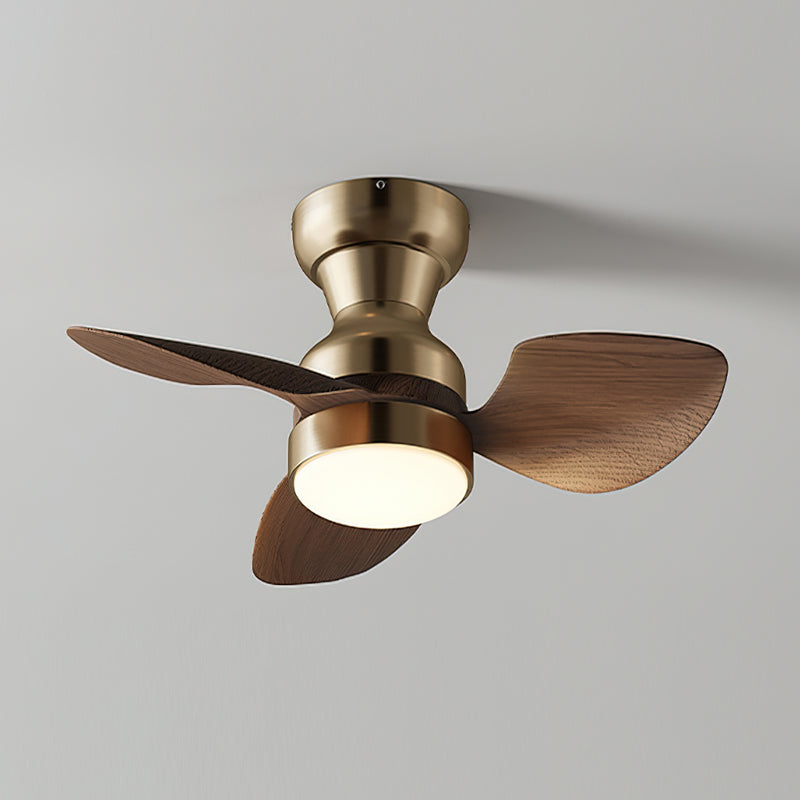 Haiku Modern ABS Ceiling Fan Light
