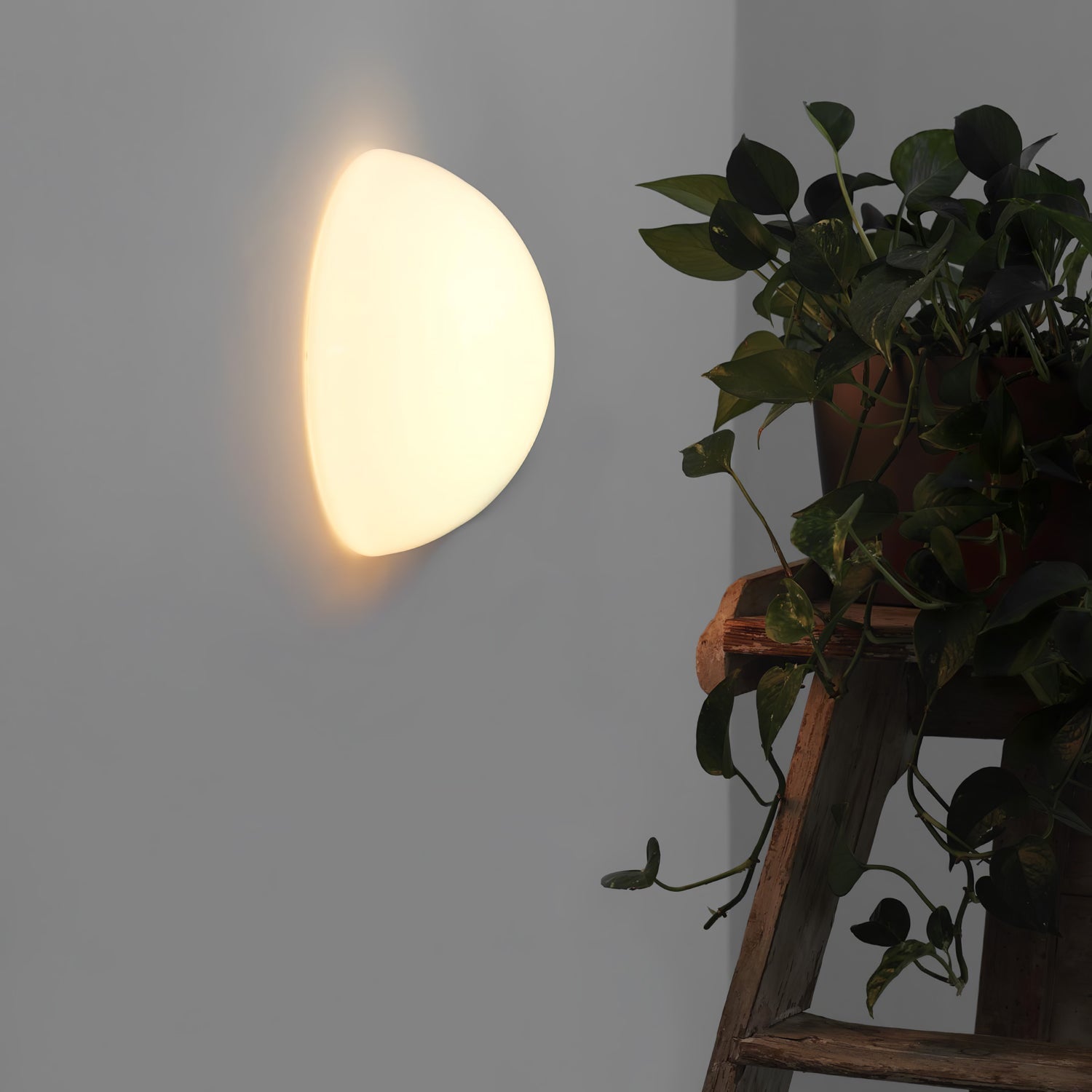 Halbkugel Wall Lamp - Blowlighting