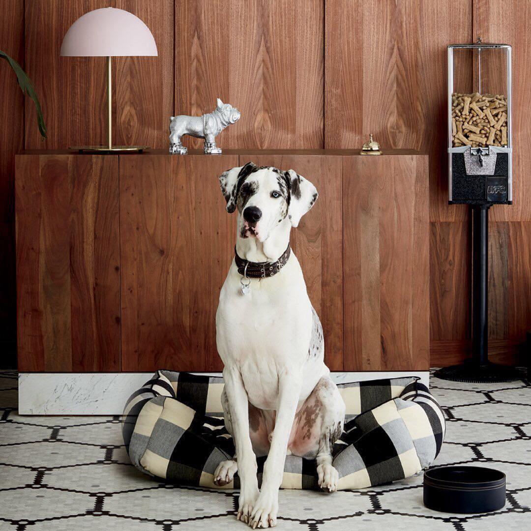 Hanna Table Lamp - Blowlighting