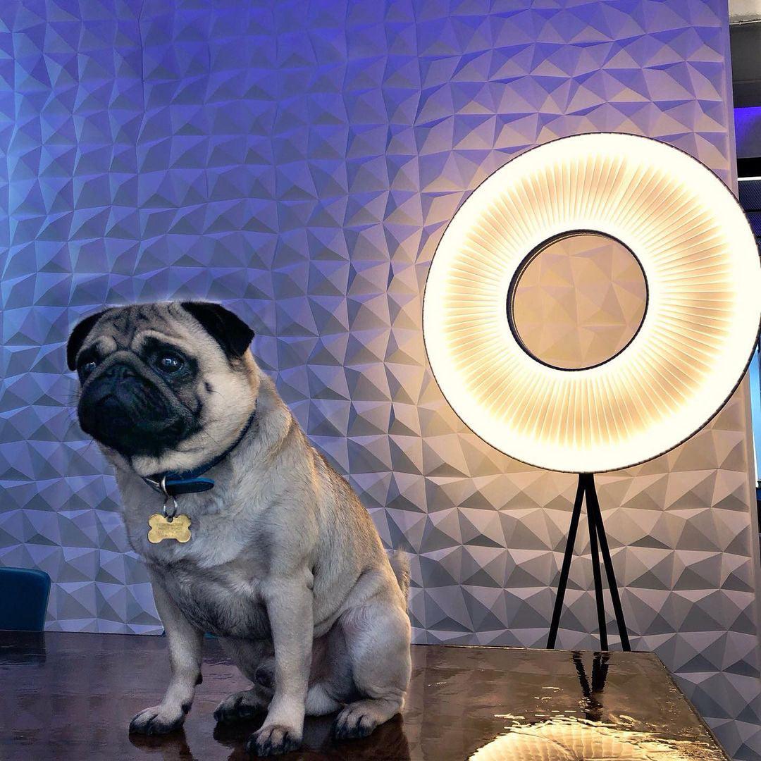 Helen Modern Metal Floor Lamp - Blowlighting
