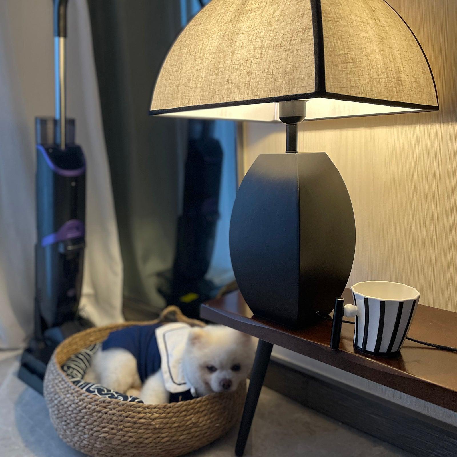 Javier Black Table Lamp - Blowlighting