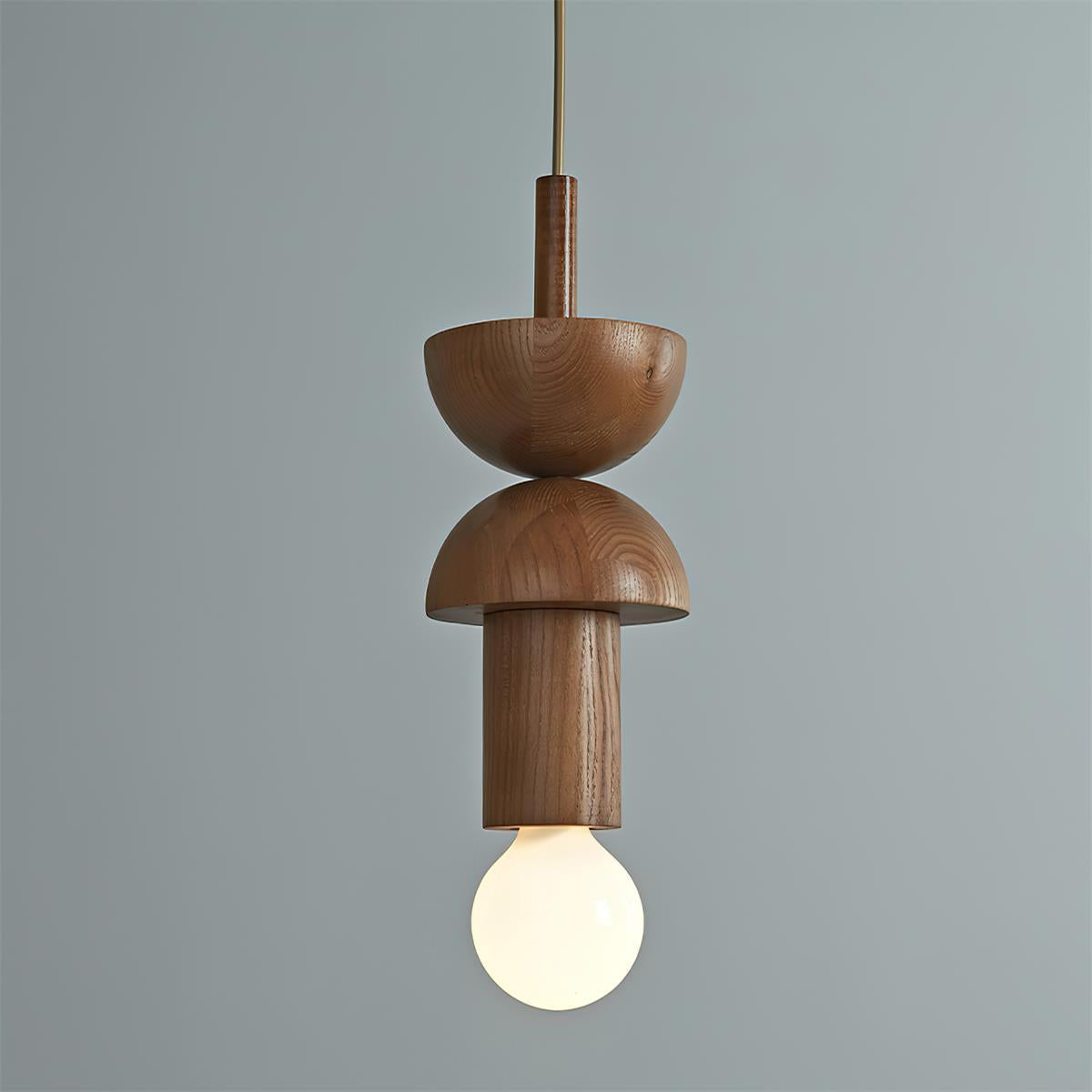 Junit Metal Modern Pendant Light