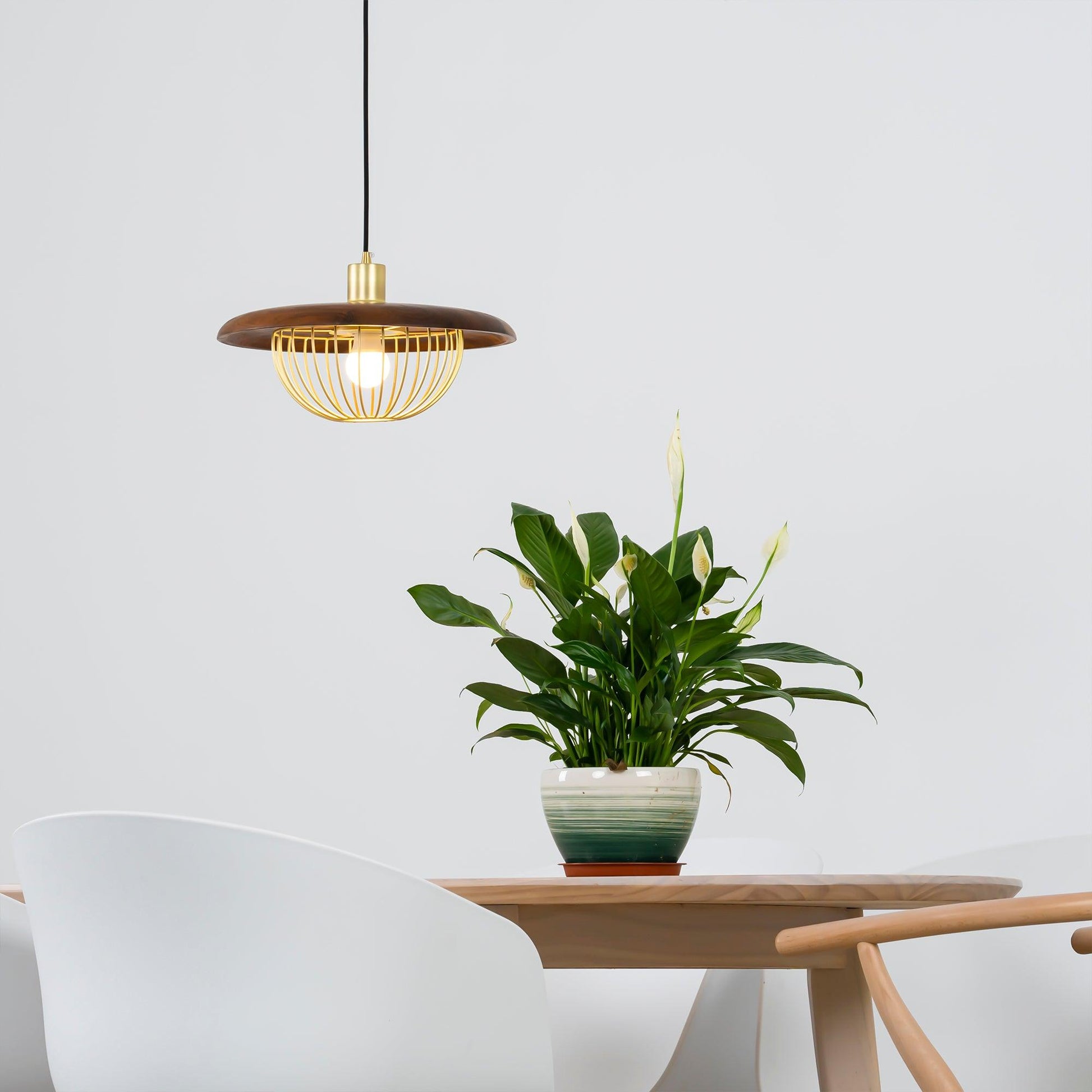 Kasa Pendant Lamp - Blowlighting