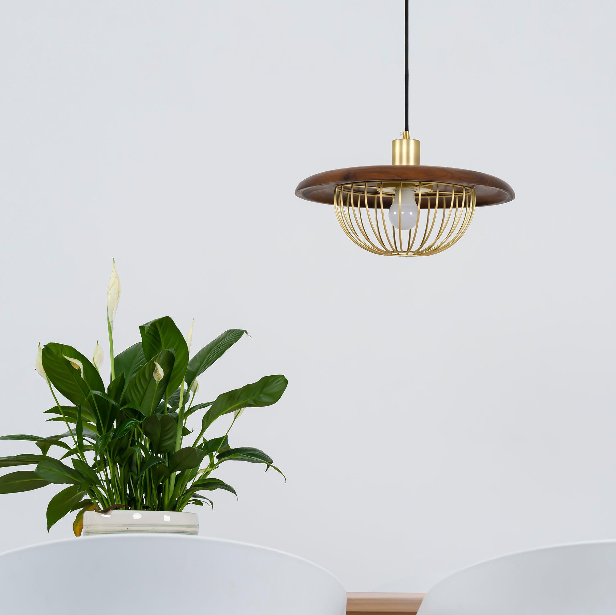 Kasa Pendant Lamp - Blowlighting