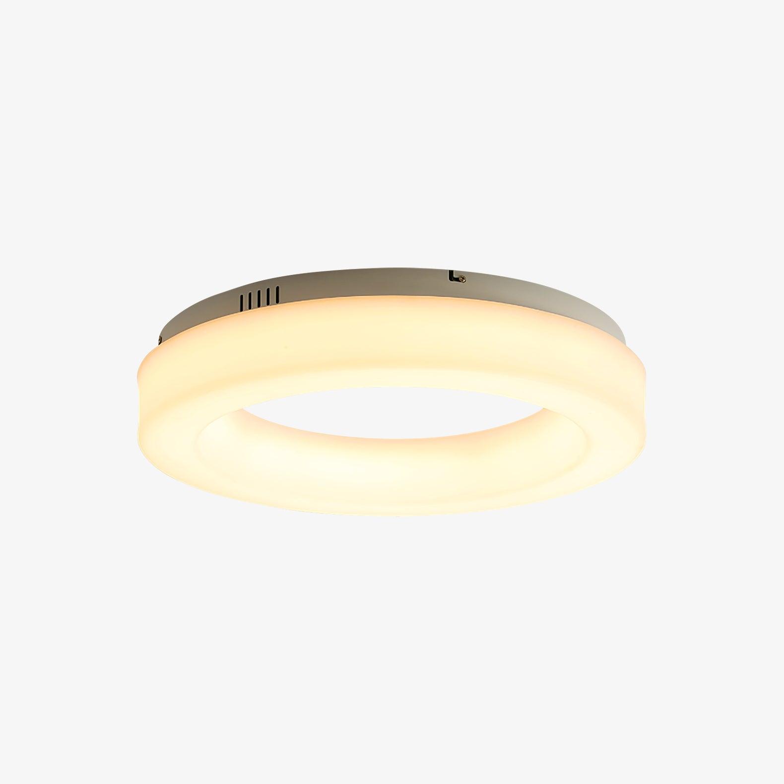 Erraeiel Modern Minimalist Art Metal Ceiling Light - Blowlighting
