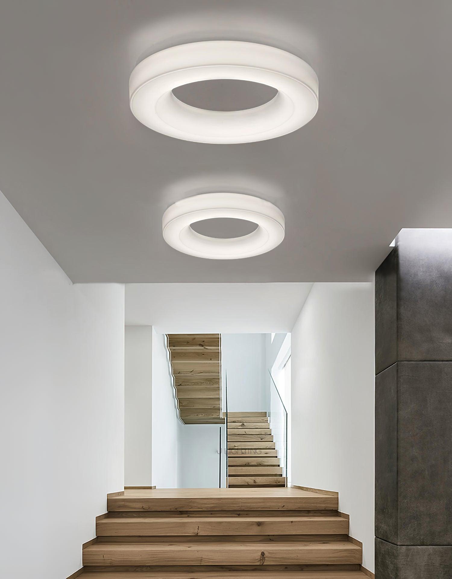 Erraeiel Modern Minimalist Art Metal Ceiling Light - Blowlighting