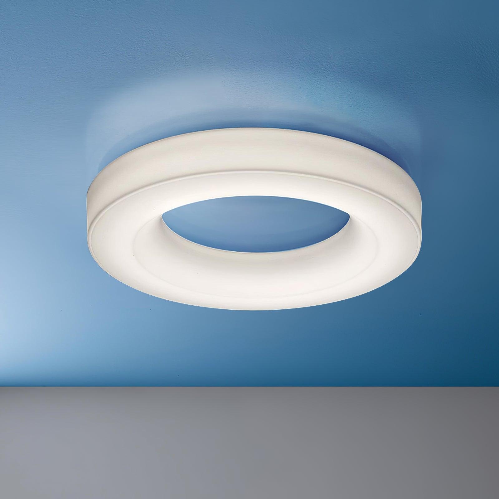 Erraeiel Modern Minimalist Art Metal Ceiling Light - Blowlighting