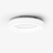 Erraeiel Modern Minimalist Art Metal Ceiling Light - Blowlighting