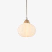 Large Flower Bag Pendant Lamp - Blowlighting