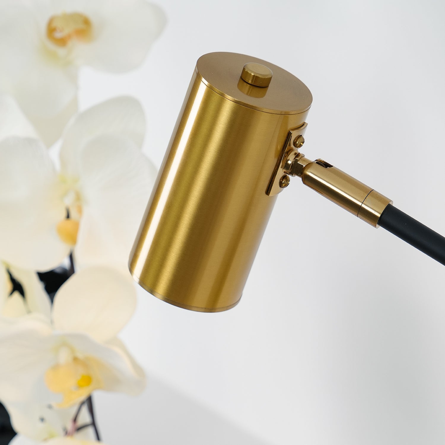 Lektor Table Lamp - Blowlighting