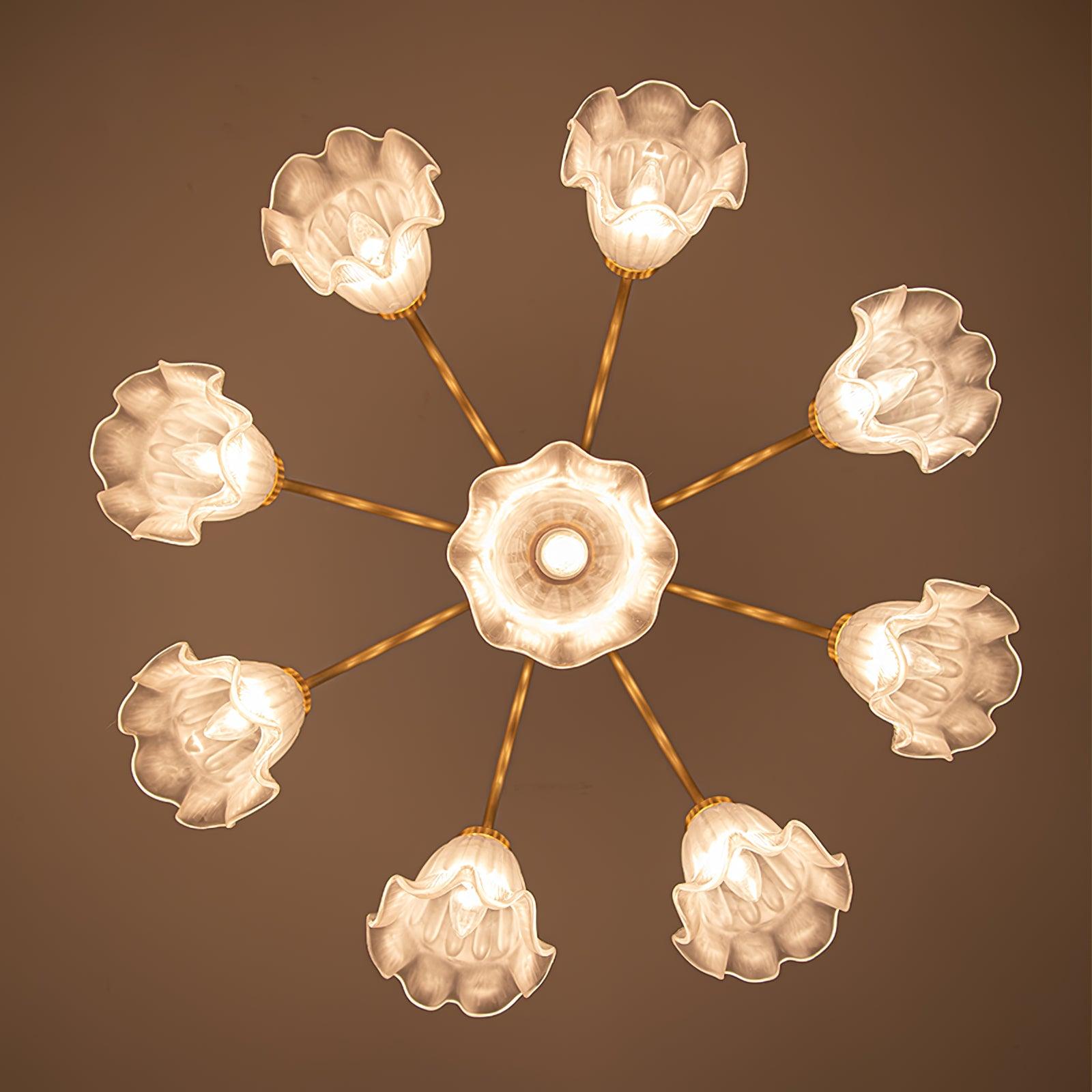 Lily Chandelier - Blowlighting