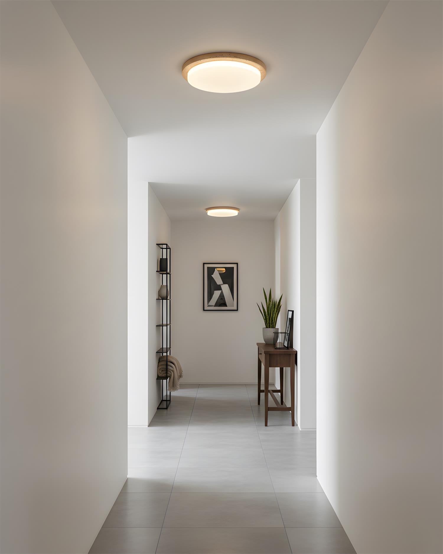 Lumara Modern Acrylic Ceiling Light