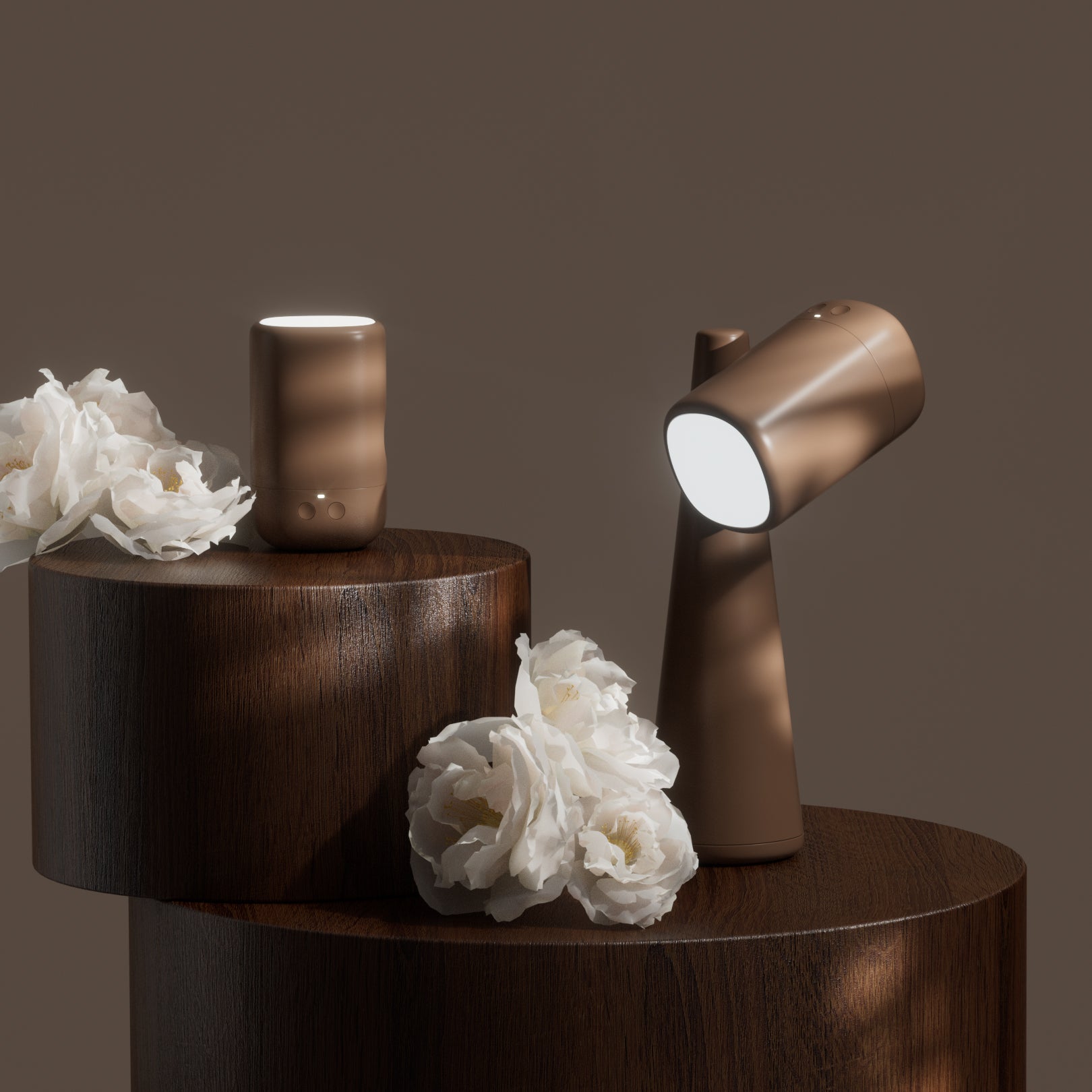 Lumenova Table Light - Blowlighting