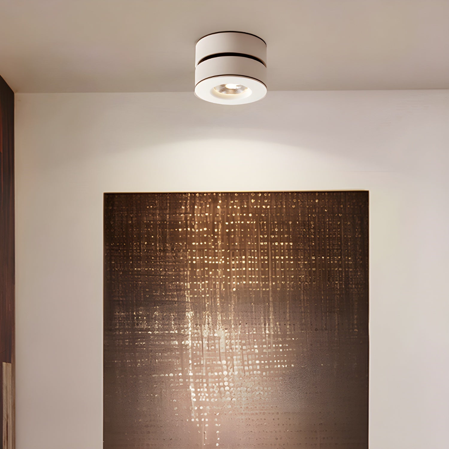 Lyric Adjustable Surface Downlight - Blowlighting