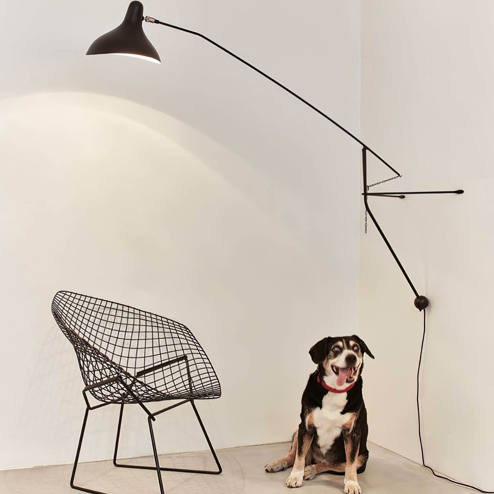 Mantis Arm Wall Lamp - Blowlighting