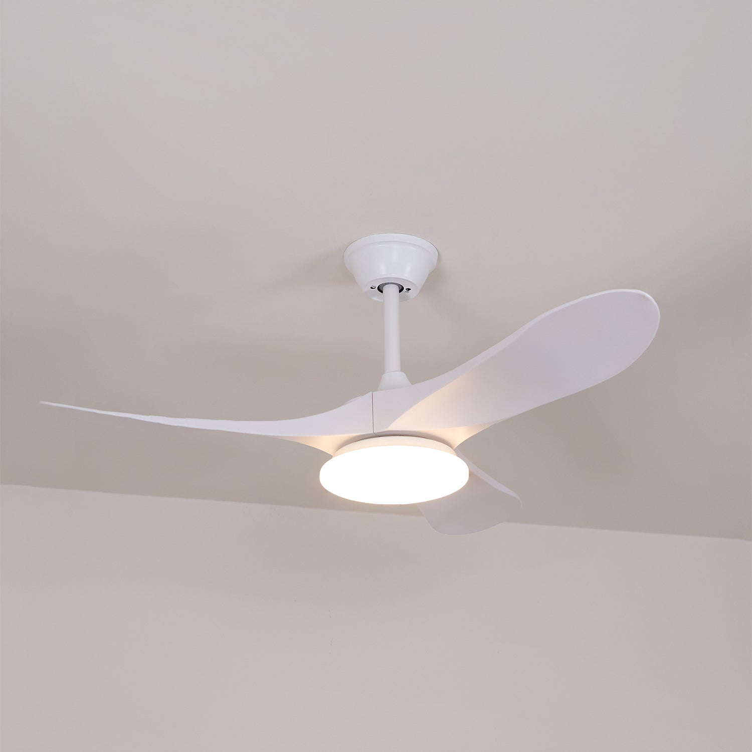 Elora Minimalist Ceiling Fan Light - Blowlighting