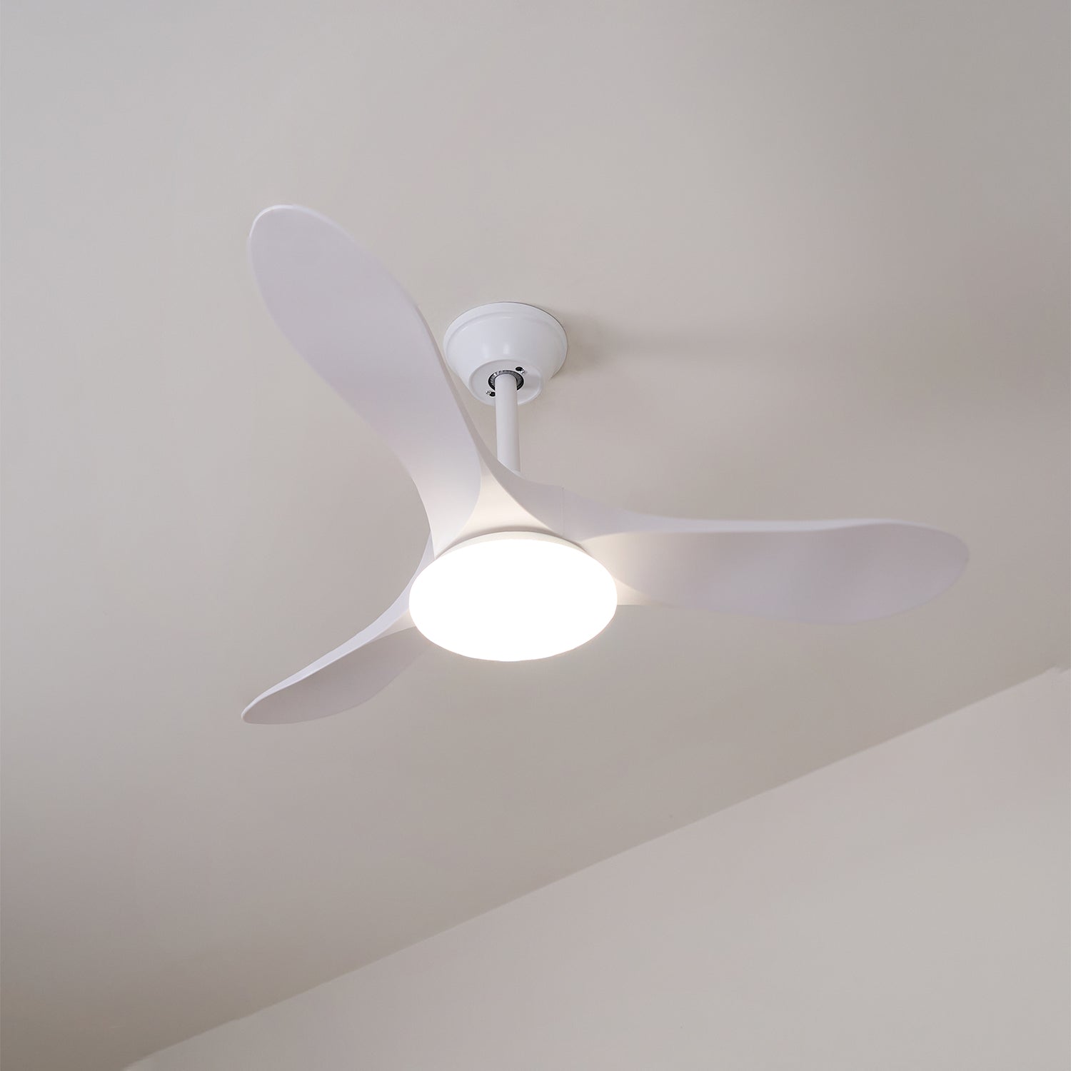 Aveline Modern Wood Ceiling Fan Light - Blowlighting