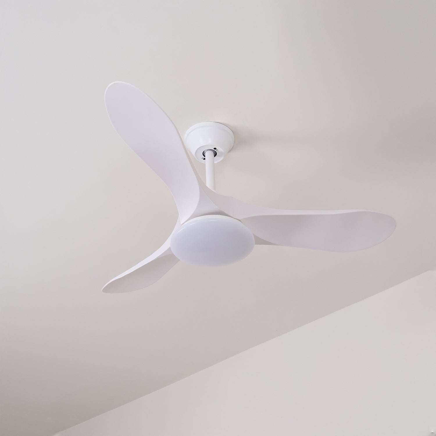 Elora Minimalist Ceiling Fan Light - Blowlighting
