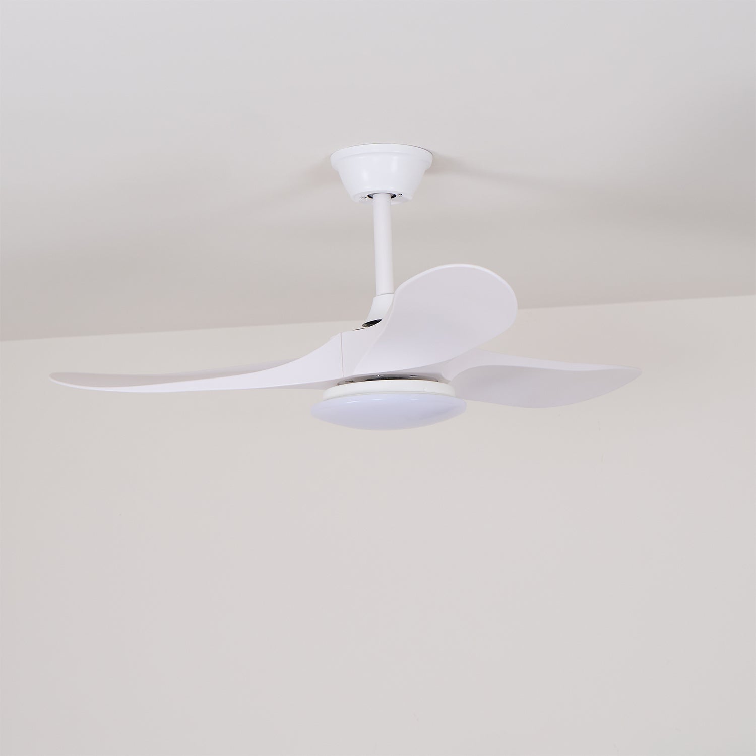 Elora Minimalist Ceiling Fan Light - Blowlighting
